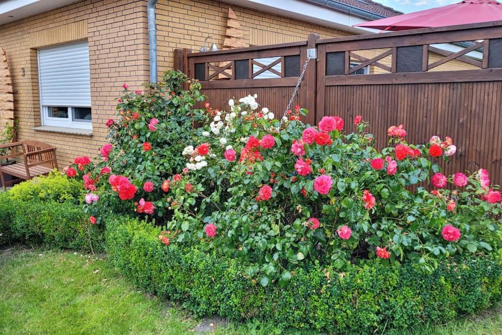 Fh Ostfriesland To Huus, Zw. Emden Und Greetsiel Villa Hinte Eksteriør billede
